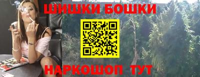 крисы Будённовск