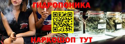 крисы Будённовск